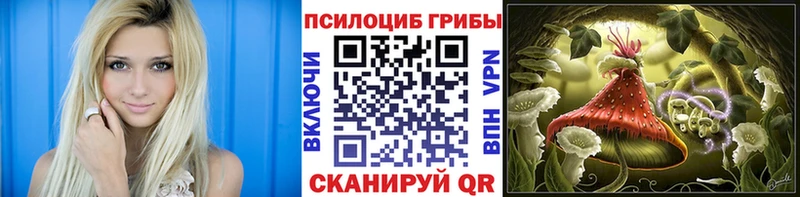 Галлюциногенные грибы MAGIC MUSHROOMS  Малоярославец 